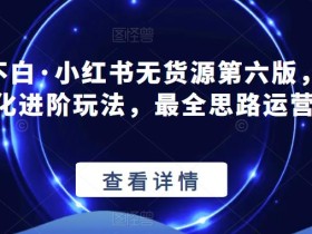 【推荐】绅白不白·小红书无货源第六版,精细化进阶玩法,最全思路运营