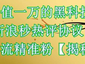 价值一万的黑科技新浪秒热评协议引流精准粉【仅揭秘】