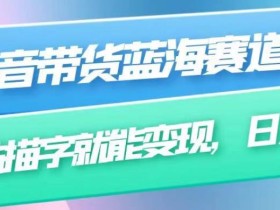 抖音带货蓝海赛道,无需真人出镜,字帖描字就能变现,日入上千(附带全套教程)