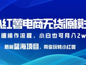 小红薯电商无货源模式,最新蓝海项目,带你玩转小红薯,小白也可月入2w+【揭秘】