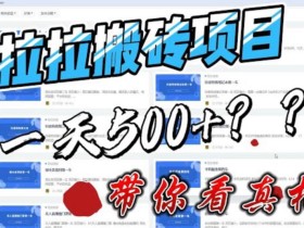 最新外面割5000多的货拉拉搬砖项目,一天500-800,首发拆解痛点【揭秘】