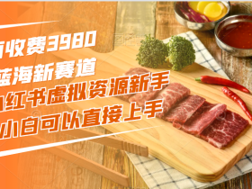 外面收费3980的蓝海新赛道,小红书虚拟资源新手小白可以直接上手的副业,一部手机月入过万不是问题【揭秘】