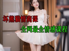 坏熊猫情商课-全网最全情感课程