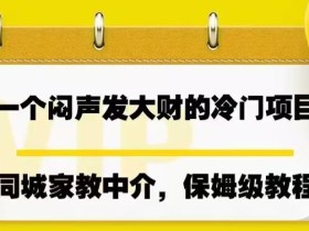 一个闷声发大财的冷门项目,同城家教中介,操作简单,一个月变现7000+,保姆级教程