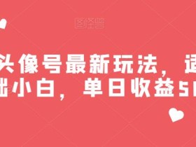 美女头像号最新玩法,适合零基础小白,单日收益500+【揭秘】