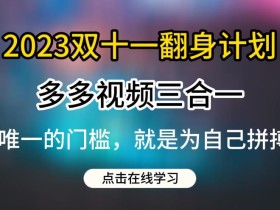 2023双十一翻身计划,多多视频带货三合一玩法教程【揭秘】