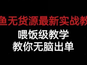 闲鱼无货源最新实战教程,喂饭级教学,教你无脑出单【揭秘】