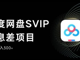百度网盘SVIP信息差项目,0投入小白极速上手,手机稳定日入300+【揭秘】