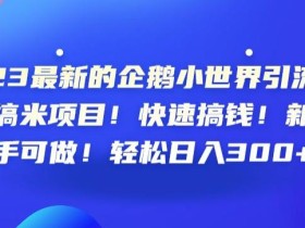 23最新的企鹅小世界引流搞米项目!快速搞钱!新手可做!轻松日入300+【揭秘】