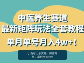 暴利赛道中医养生赛道最新矩阵玩法,单月单号月入4w+!【揭秘】