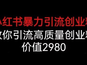小红书暴力引流创业粉,教你引流高质量创业粉,价值2980【揭秘】