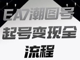 EA7潮图号起号变现全流程,快速起号飞速涨粉【揭秘】
