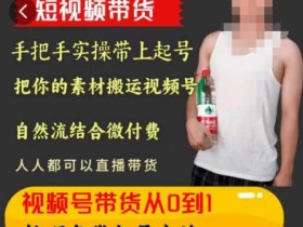 天诺老吴王依依视频号图文短视频带货线上课,视频号带货从0到1梳理各类起号方法