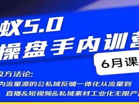 红蚁5.0IP操盘手内训营,IP操盘终极方法论