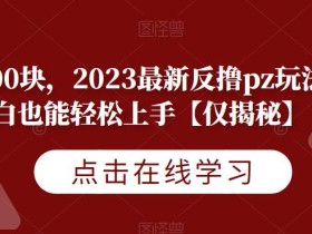 一天800块,2023最新反撸pz玩法,小白也能轻松上手【仅揭秘】