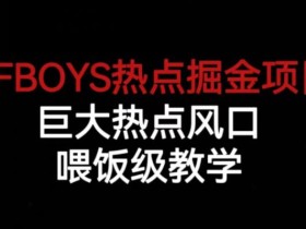 TFBOYS热点掘金项目,巨大热点风口,喂饭级教学