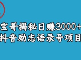 宝哥揭秘日赚3000+抖音励志语录号短视频变现项目