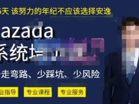 熊猫老师·2023年Lazada系统课程(跨境店+本土店),一套能解决实际问题的Lazada系统课程