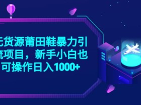 2023无货源莆田鞋暴力引流项目,新手小白也可实操日入1000+【揭秘】