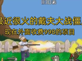 外面收费998的项目最近很火的戴夫大战僵尸,还没烂大街,现在玩定能吃肉
