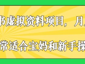 小红书虚拟资料项目,月入2w+,非常适合宝妈和新手操作【揭秘】