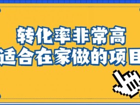 小红书虚拟电商项目:从小白到精英(视频课程+交付手册)