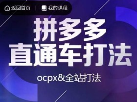 互力·拼多多直通车打法,ocpx&全站打法