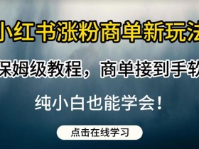 小红书涨粉商单新玩法,保姆级教程,商单接到手软,纯小白也能学会【揭秘】