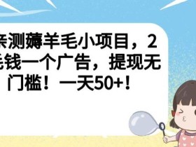 亲测薅羊毛小项目,2毛钱一个广告,提现无门槛!一天50+【揭秘】