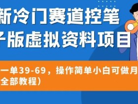 最新冷门赛道控笔电子版虚拟资料,高转化一单39-69,操作简单小白可做月入5w+(附带全部教程)【揭秘】