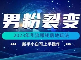 (价值1980)2023年最新男粉裂变引流赚钱落地玩法,新手小白可上手操作【揭秘】
