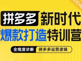 玺承·拼多多新时代爆款打造特训营,全维度讲解拼多多运营逻辑