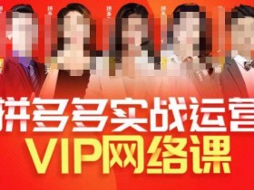 推易拼多多VIP全套直播课程,拼多多店铺实操玩法+实战玩法选款内功+直通车高阶等