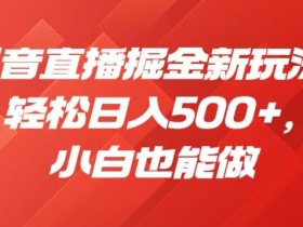 抖音直播掘金新玩法,轻松日入500+,小白也能做【揭秘】