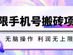 无脑搬砖项目-无限接码撸红包收益无上限【揭秘】