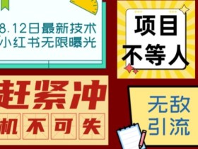 小红书8月最新技术无限曝光亲测单账号日引流精准粉100+轻松无压力(脚本+教程)