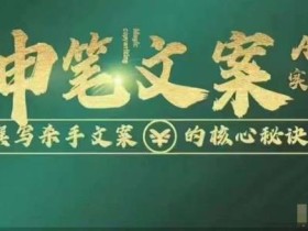 神笔文案AI实操课,撰写S手文案的核心秘密