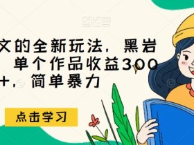 小说推文的全新玩法,黑岩故事会,单个作品收益300+,简单暴力【揭秘】