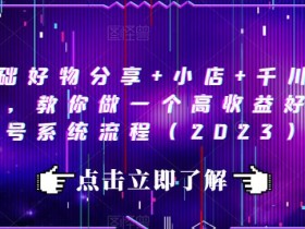 0基础好物分享+小店+千川投放课,教你做一个高收益好物账号系统流程(2023)