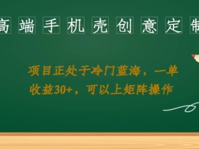 高端手机壳创意定制,项目正处于蓝海,每单收益30+,可以上矩阵操作【揭秘】