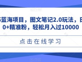 小红书蓝海项目,图文笔记2.0玩法,日引100+精准粉,轻松月入过10000【揭秘】