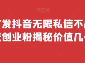 全网首发 抖音无限私信不屏蔽 引流创业粉揭秘 价值几千