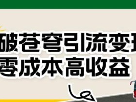 斗破苍穹引流变现,零成本高收益【揭秘】