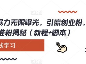 小红书暴力无限曝光,引流创业粉,精准粉揭秘(教程+脚本)