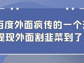 外面收费980的百度极速版最新玩法,多窗口拉满一小时利润在30-50+【软件+教程】