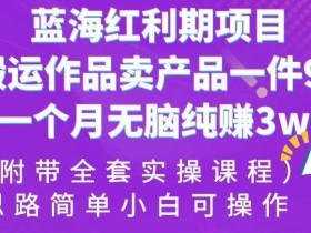 蓝海红利期项目,搬运作品卖产品一件9.9,一个月无脑纯赚3w+!(附带全套实操课程)【揭秘】