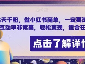 5天千粉,做小红书商单,一定要选这个赛道,互动率非常高,轻松变现,适合在家做的副业