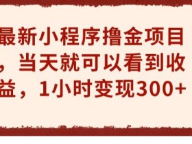 最新小程序撸金项目,当天就可以看到收益,1小时变现300+【揭秘】