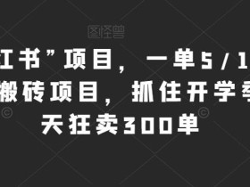 新“小红书”项目,一单5/10元,0成本搬砖项目,抓住开学季,一天狂卖300单【揭秘】