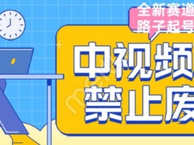 外面售价1599的中视频禁止废话系列视频制作教程,全新蓝海玩法